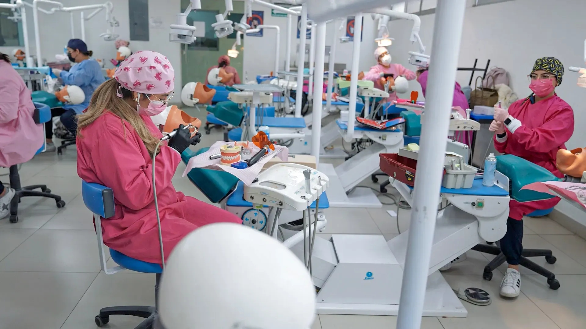 ¿En qué podrás trabajar?