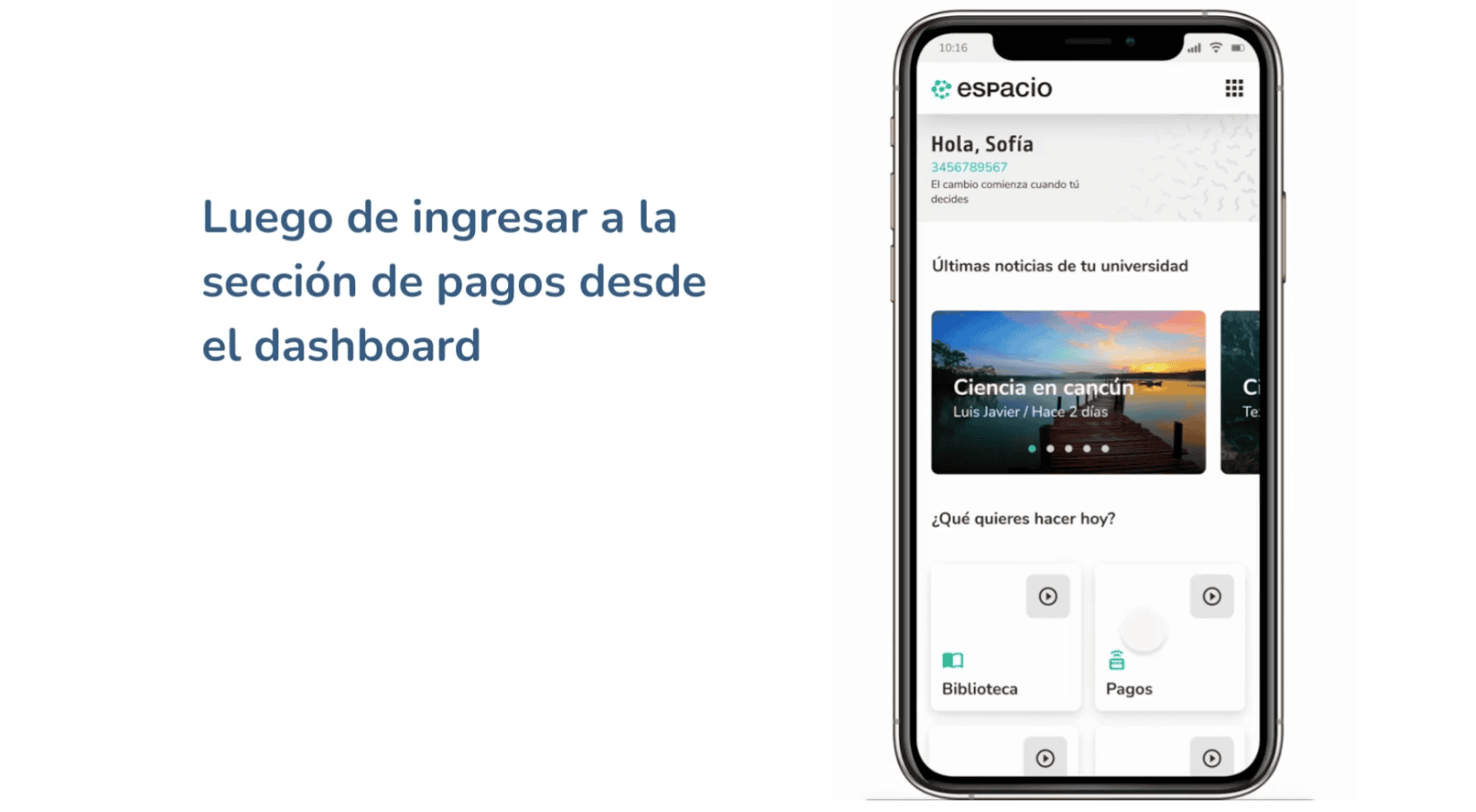 Ilustración para: Pagos y facturas