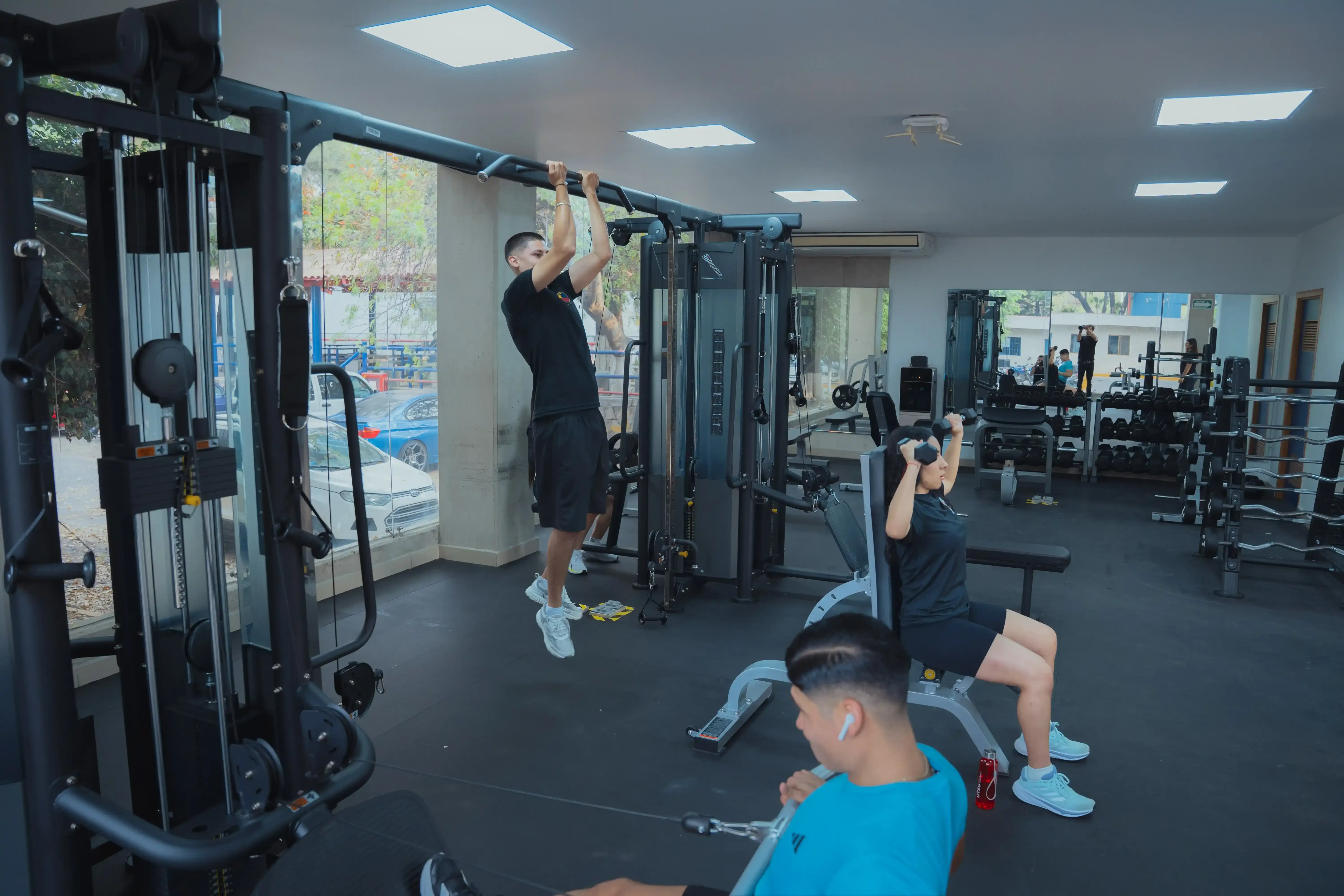 ¿En qué podrás trabajar?