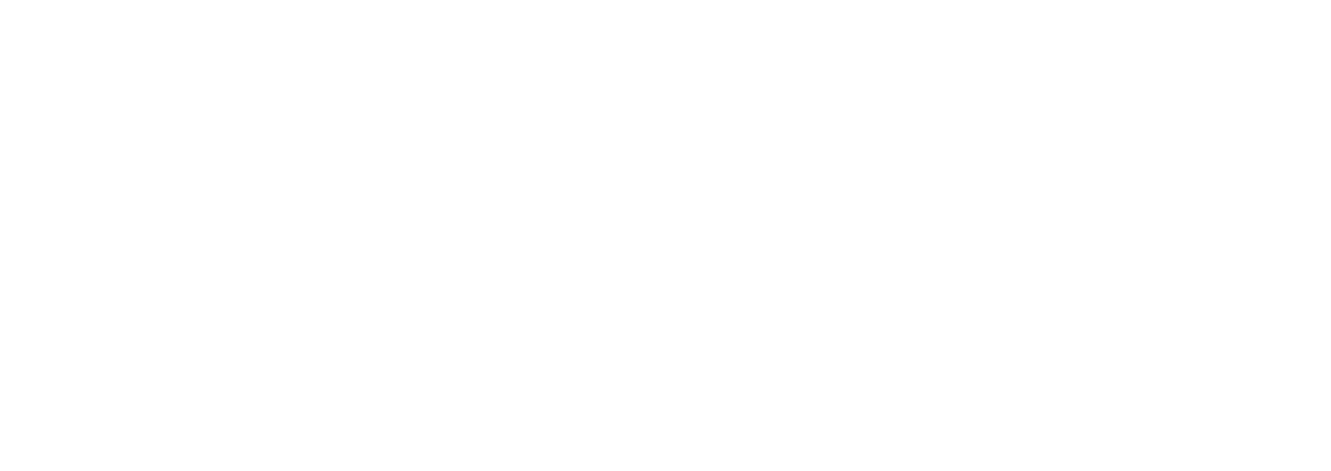 Neto