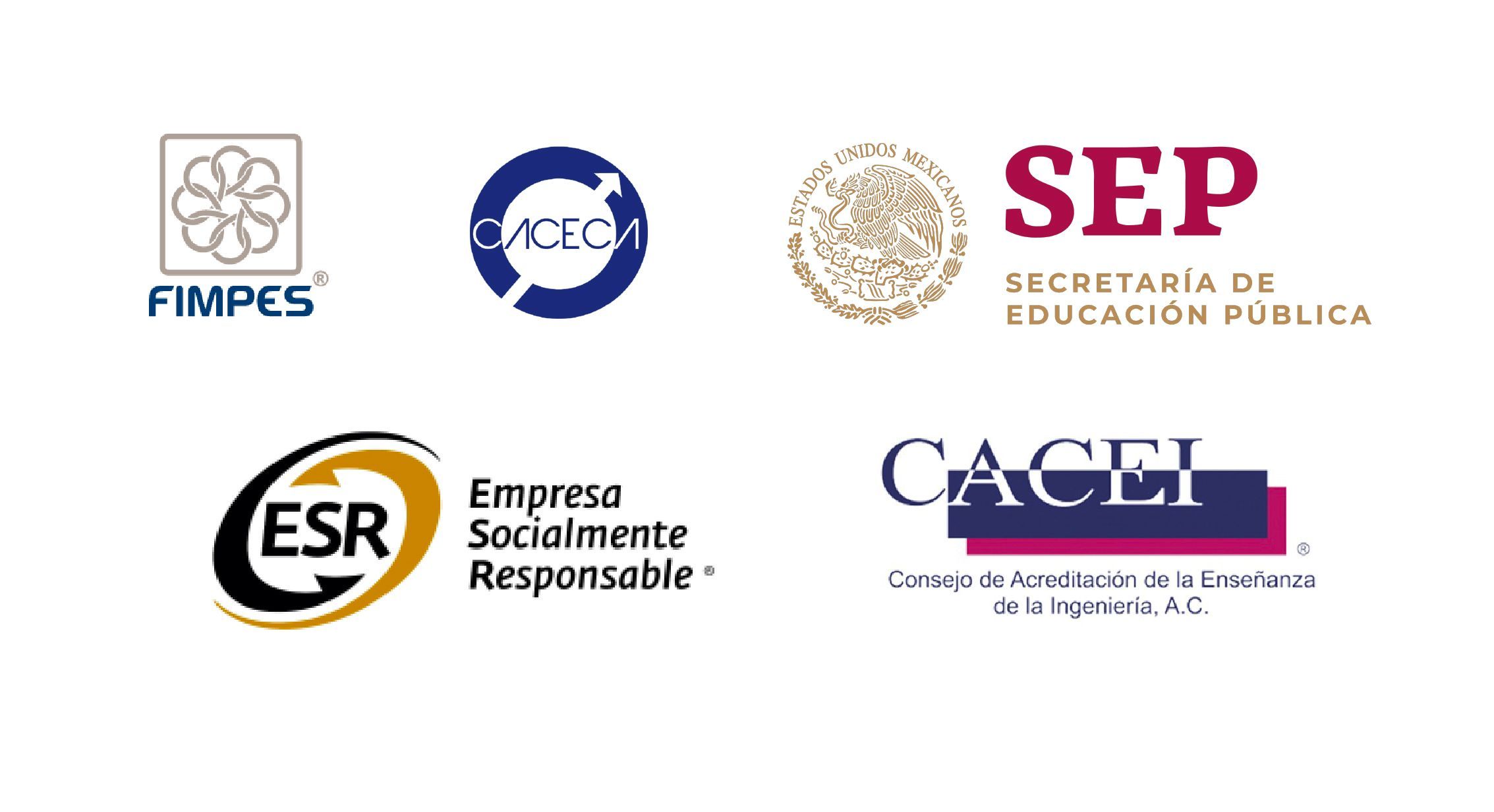 Ilustración para: Docentes con experiencia real en la industria