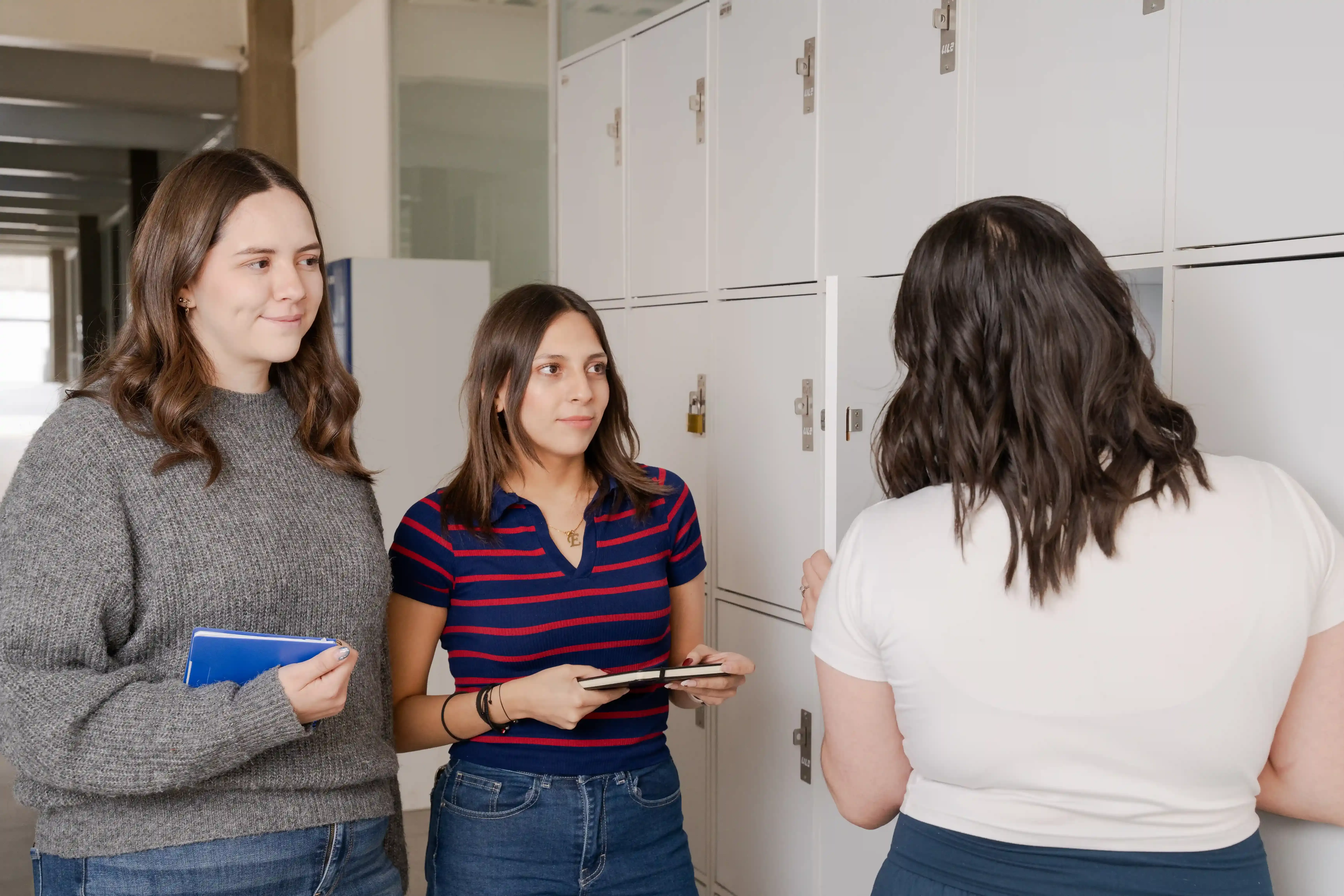 Ilustración para: Modelo 30 30 40